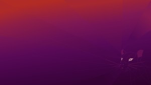 ubuntu.jpg
